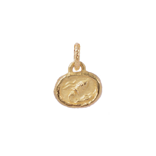 Petite Aquarius Plaque Pendant - Main Img