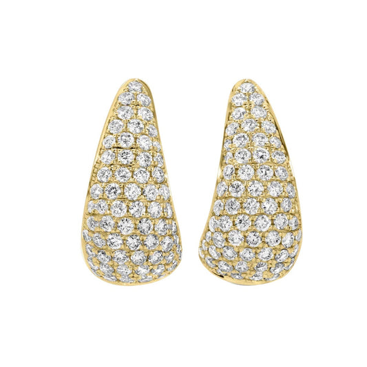 Claw Earrings - Main Img
