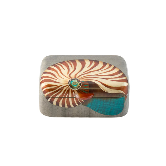 Nautilus Seashell Print Marquetry Box - Small - Main Img