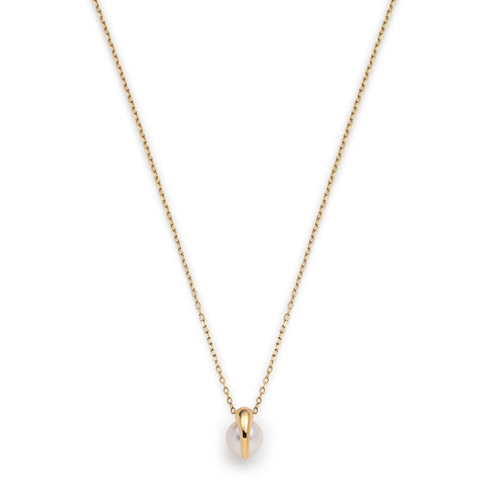 Drosera Necklace