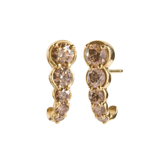 Brown Diamond Curled Earrings - Main Img