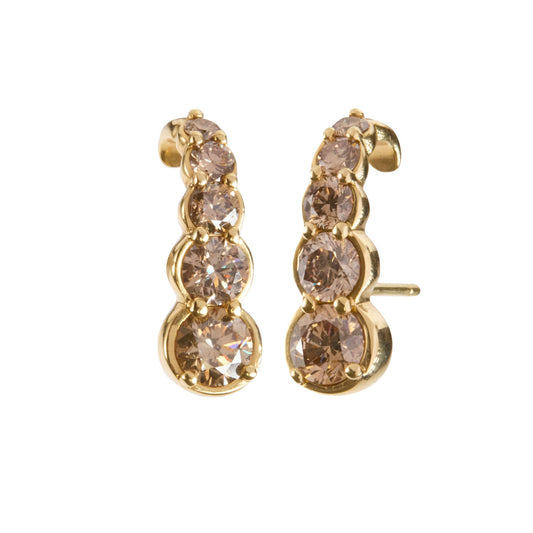 Brown Diamond Curled Earrings - Main Img