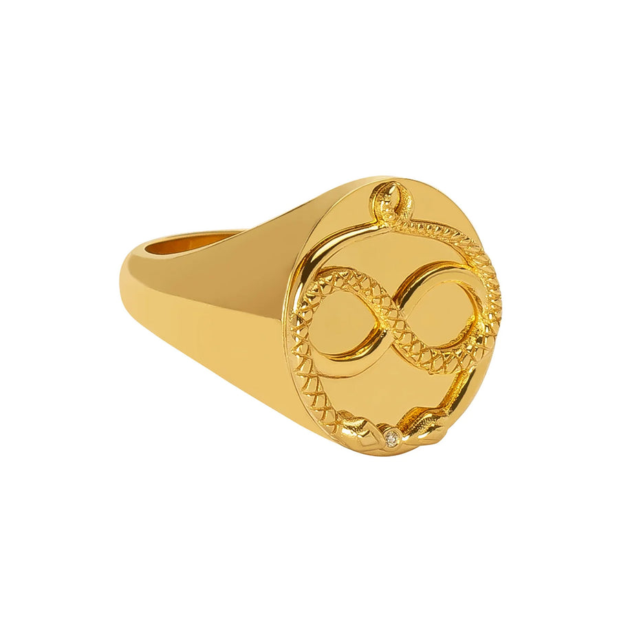 Foundrae Classic Zodiac Signet Ring - Gemini - Rings - Broken English Jewelry side view