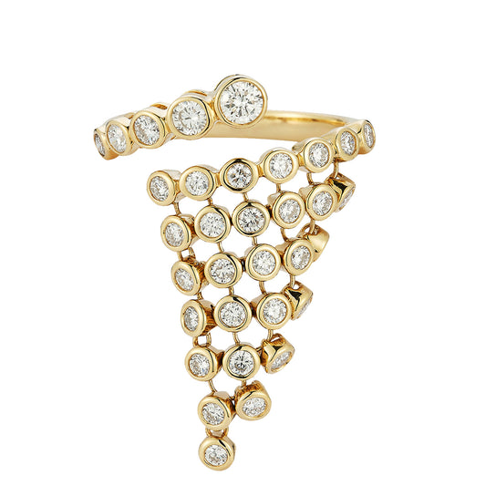 Bias Coil Ring - Main Img