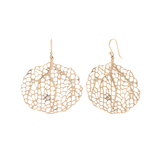 Sea Fan Earrings - Main Img