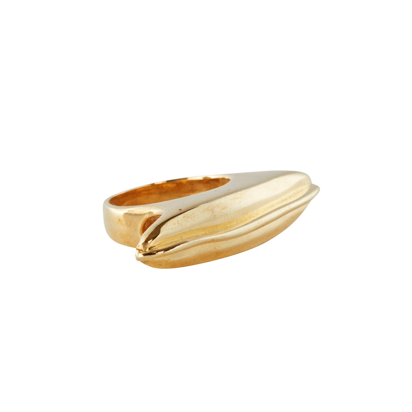Ariana Boussard-Reifel Phoenix Brass Ring side view