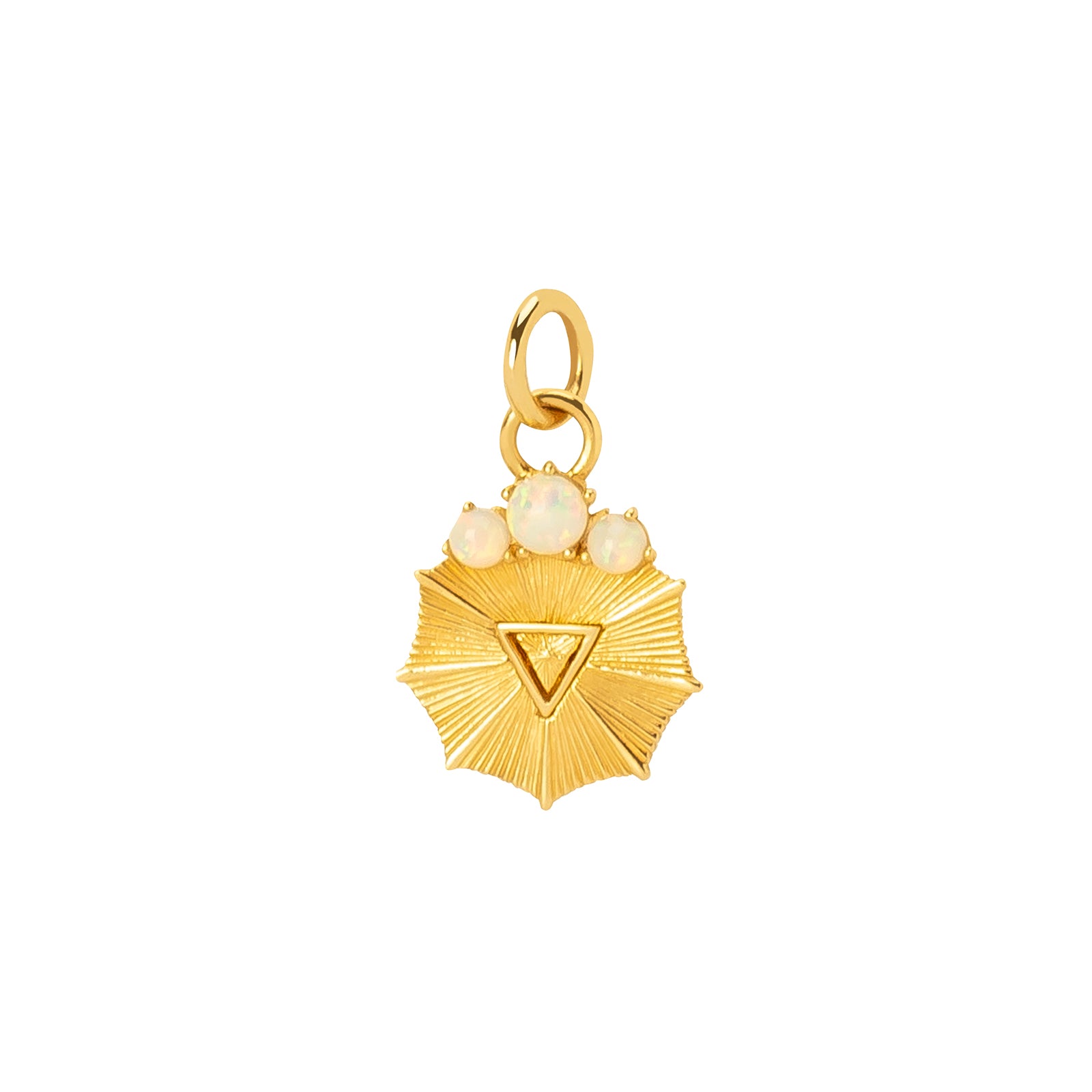 Foundrae Miniature Water Medallion - Charms & Pendants - Broken English Jewelry
