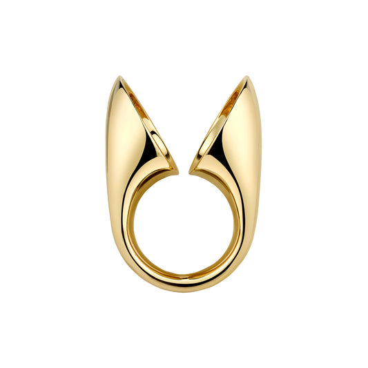Echo Ring - Main Img