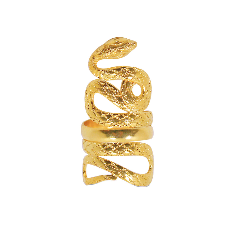 Long Snake Ring