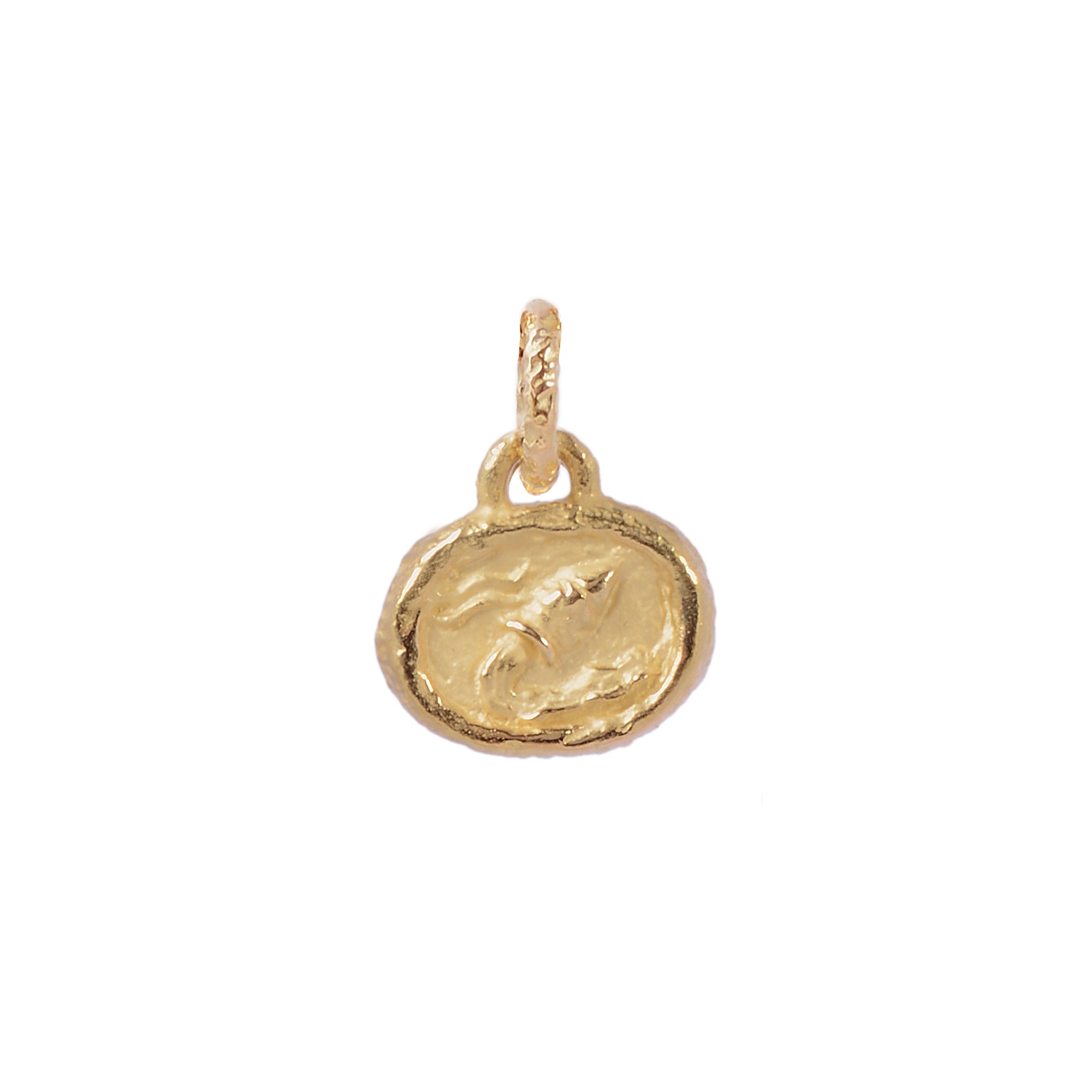 Petite Aquarius Plaque Pendant