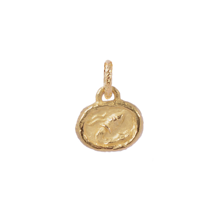 Petite Aquarius Plaque Pendant