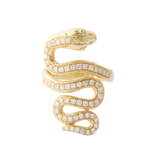 Snake Ring - Main Img