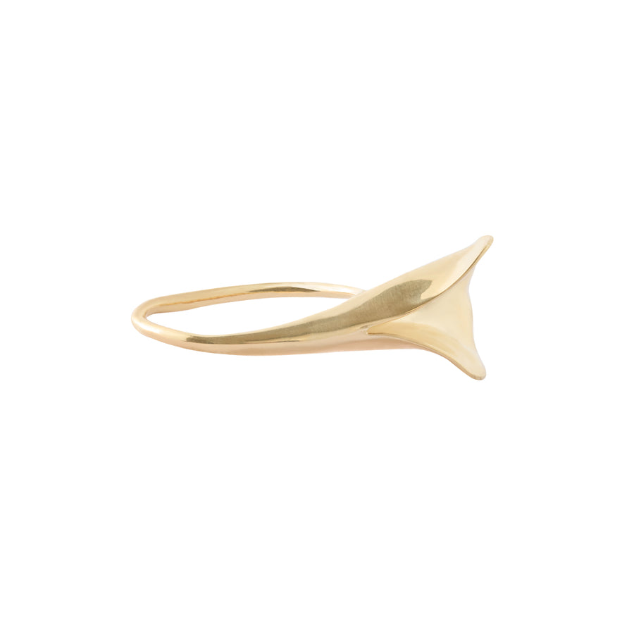 Cloisters Ring - Brass