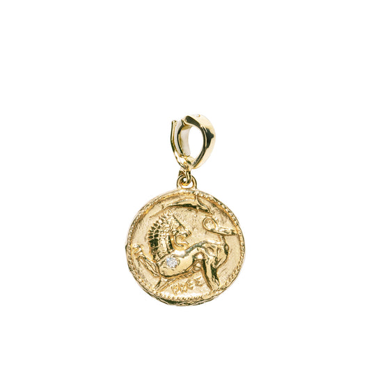 Small Lion and Dolphin Coin Charm - Main Img