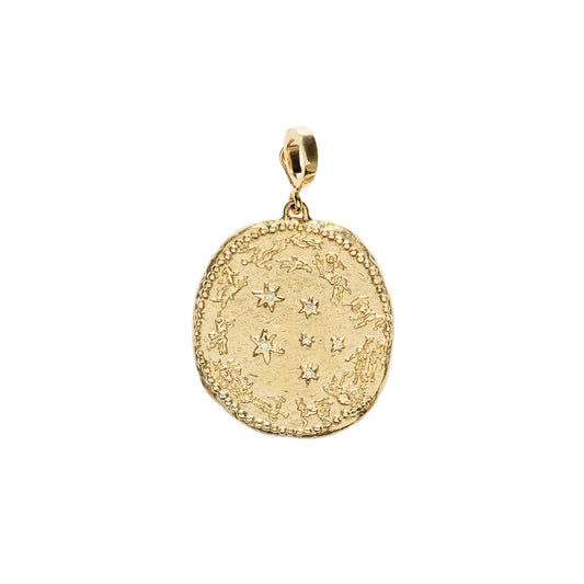 Large Zodiac Wheel Coin Charm - Main Img