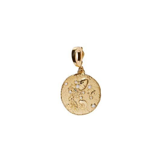 Zodiac Small Coin Charm - Aquarius - Main Img