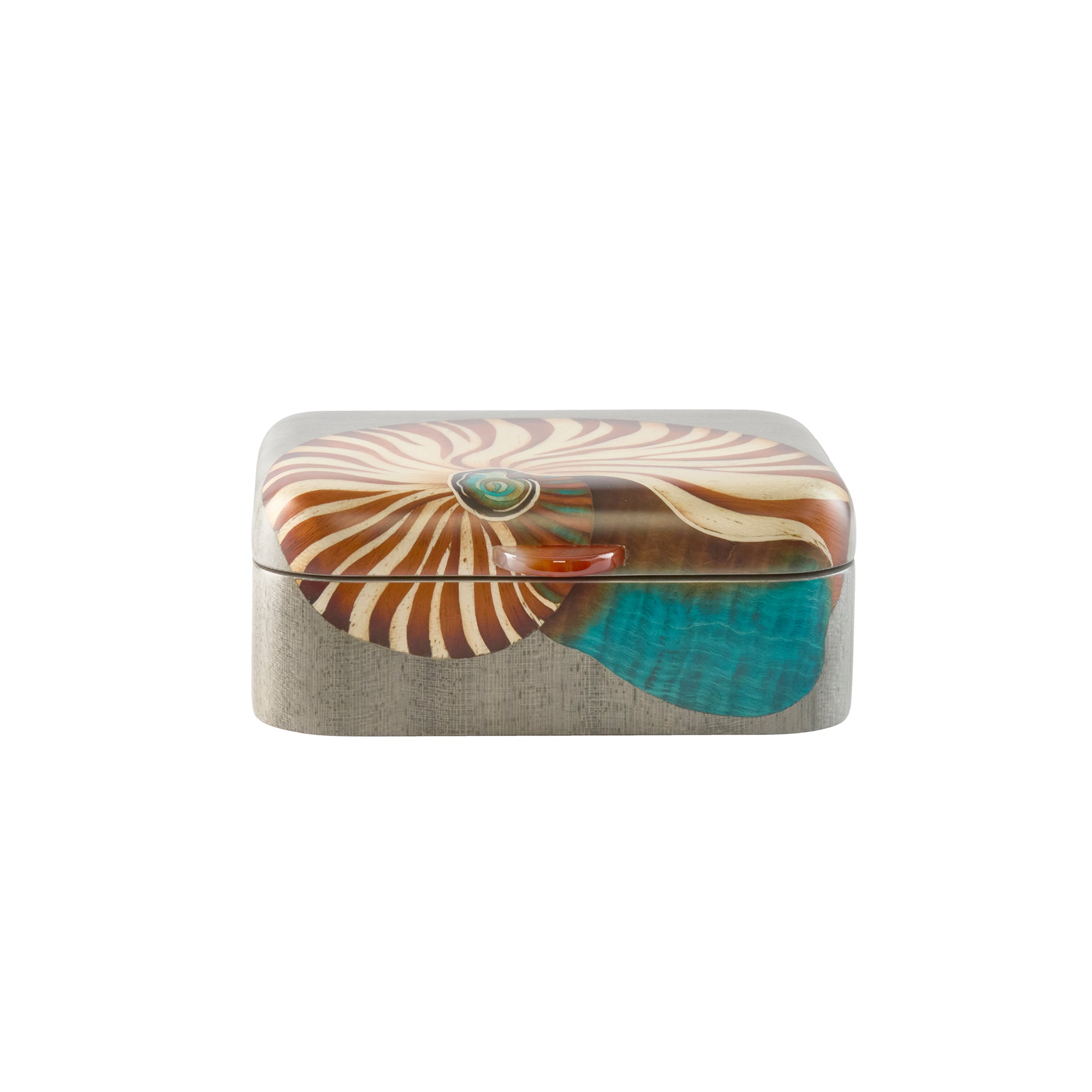 Nautilus Seashell Print Marquetry Box - Small