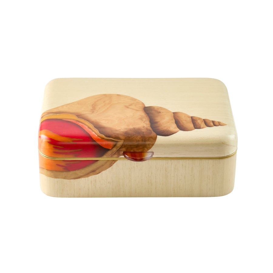 Seashell Print Marquetry Box - Medium