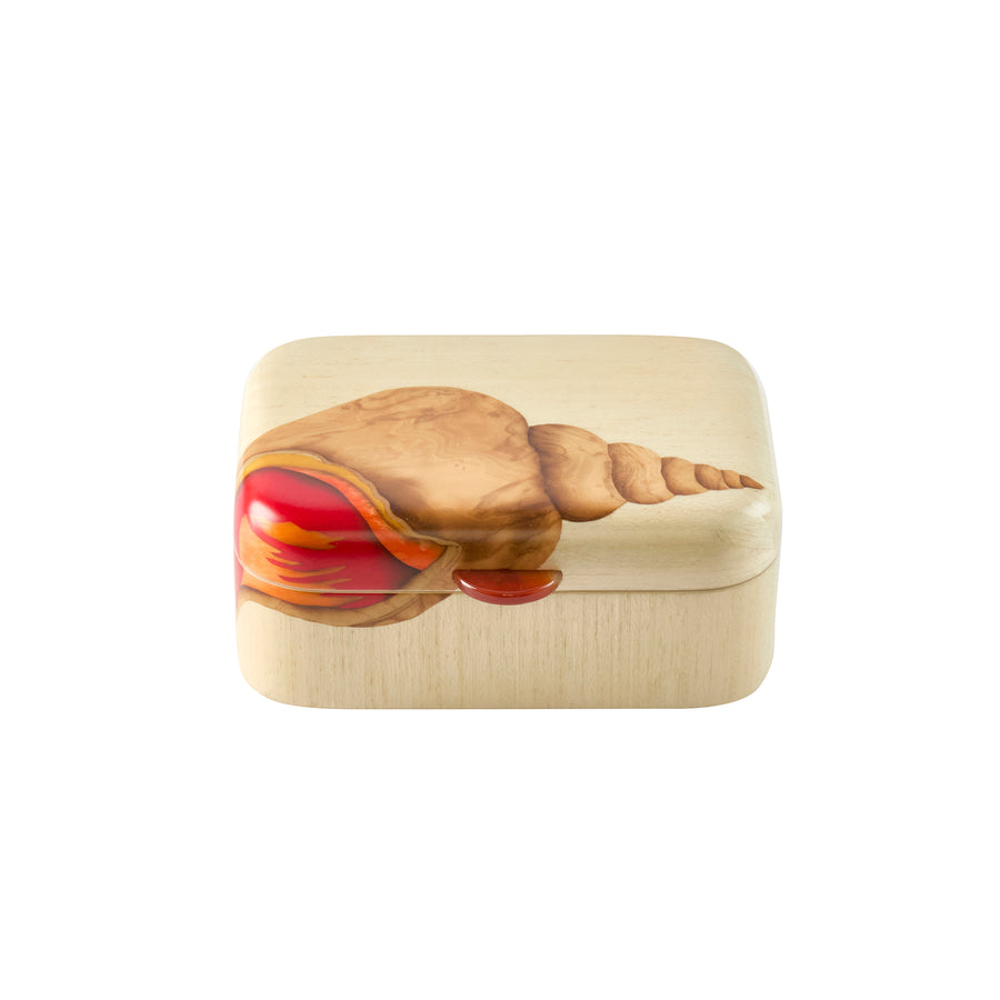 Seashell Marquetry Box - Small