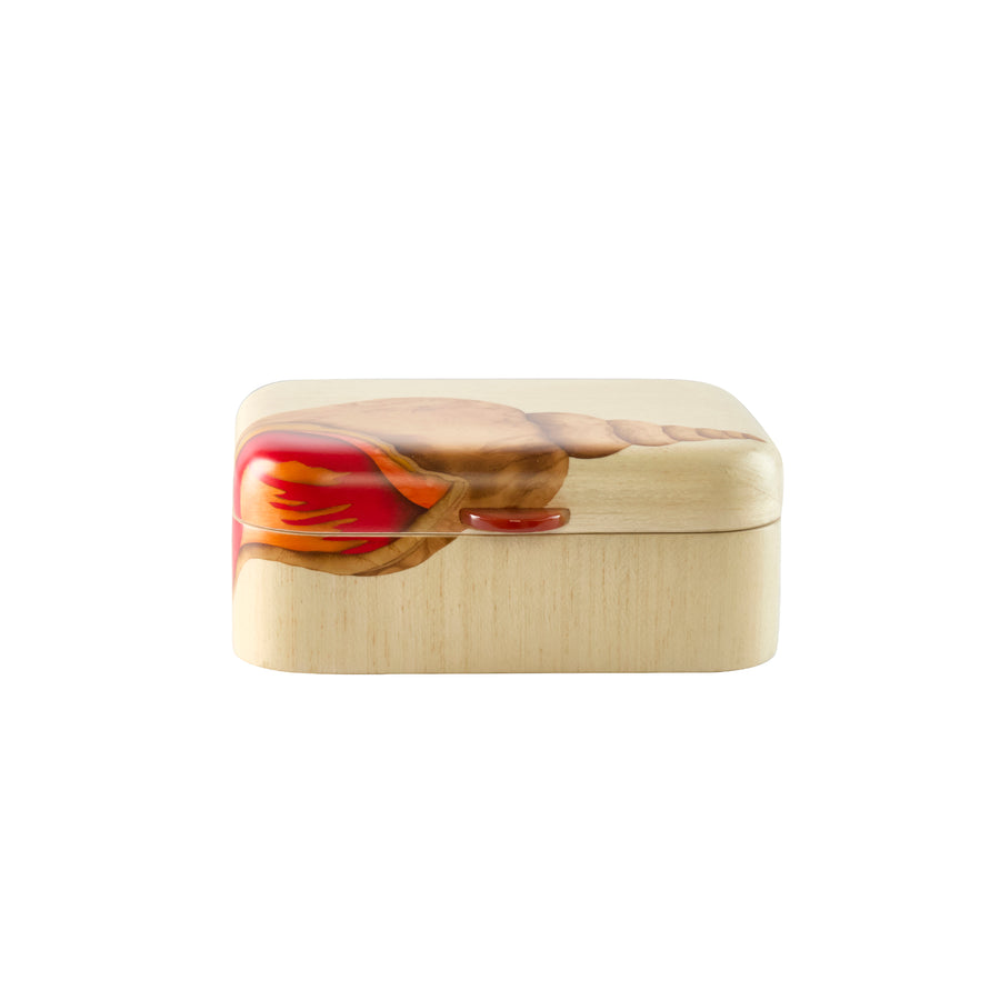 Seashell Marquetry Box - Small