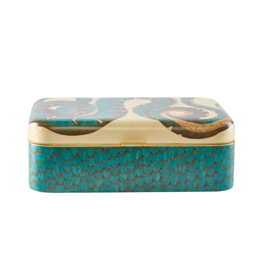 Blue Snake Print Marquetry Box - Medium