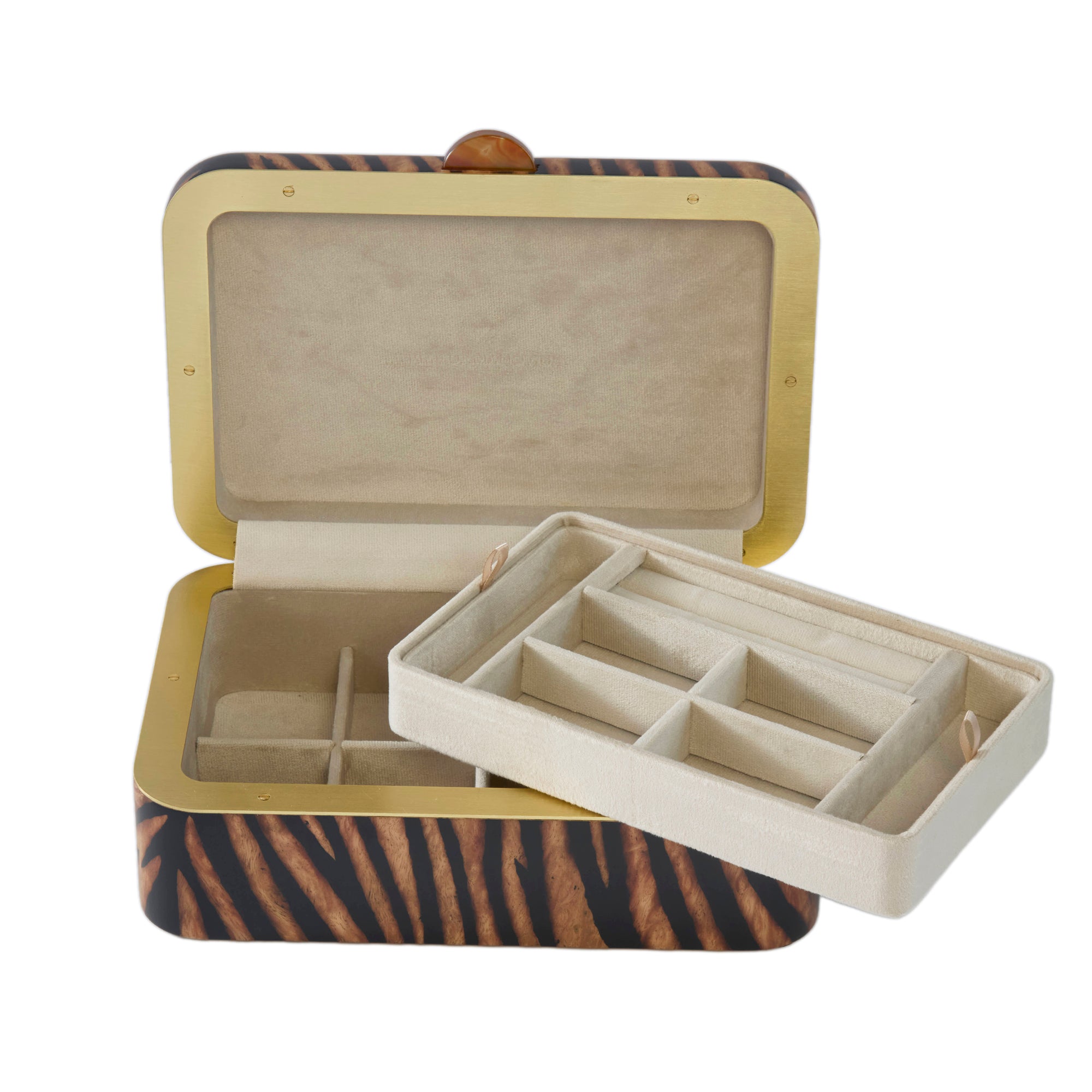 Silvia Furmanovich - Medium Rectangular Tiger Motif Marquetry Box