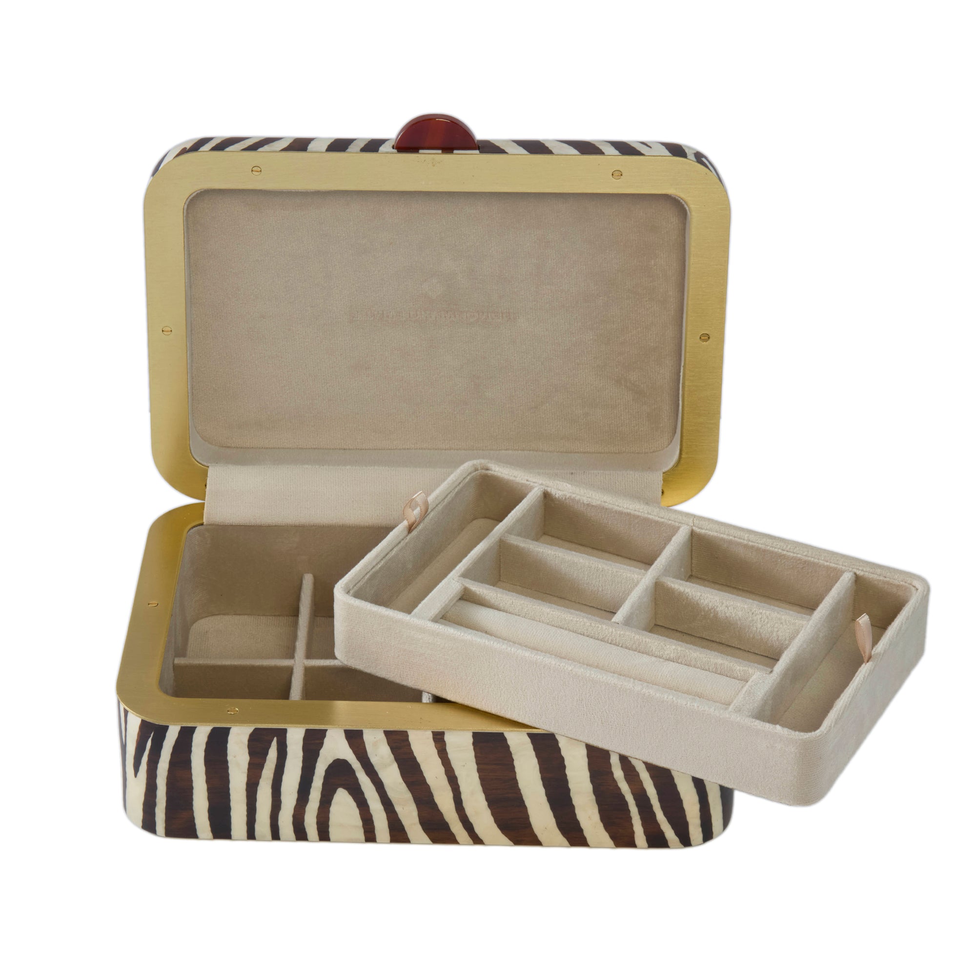Silvia Furmanovich - Medium Rectangular Zebra Motif Marquetry Box