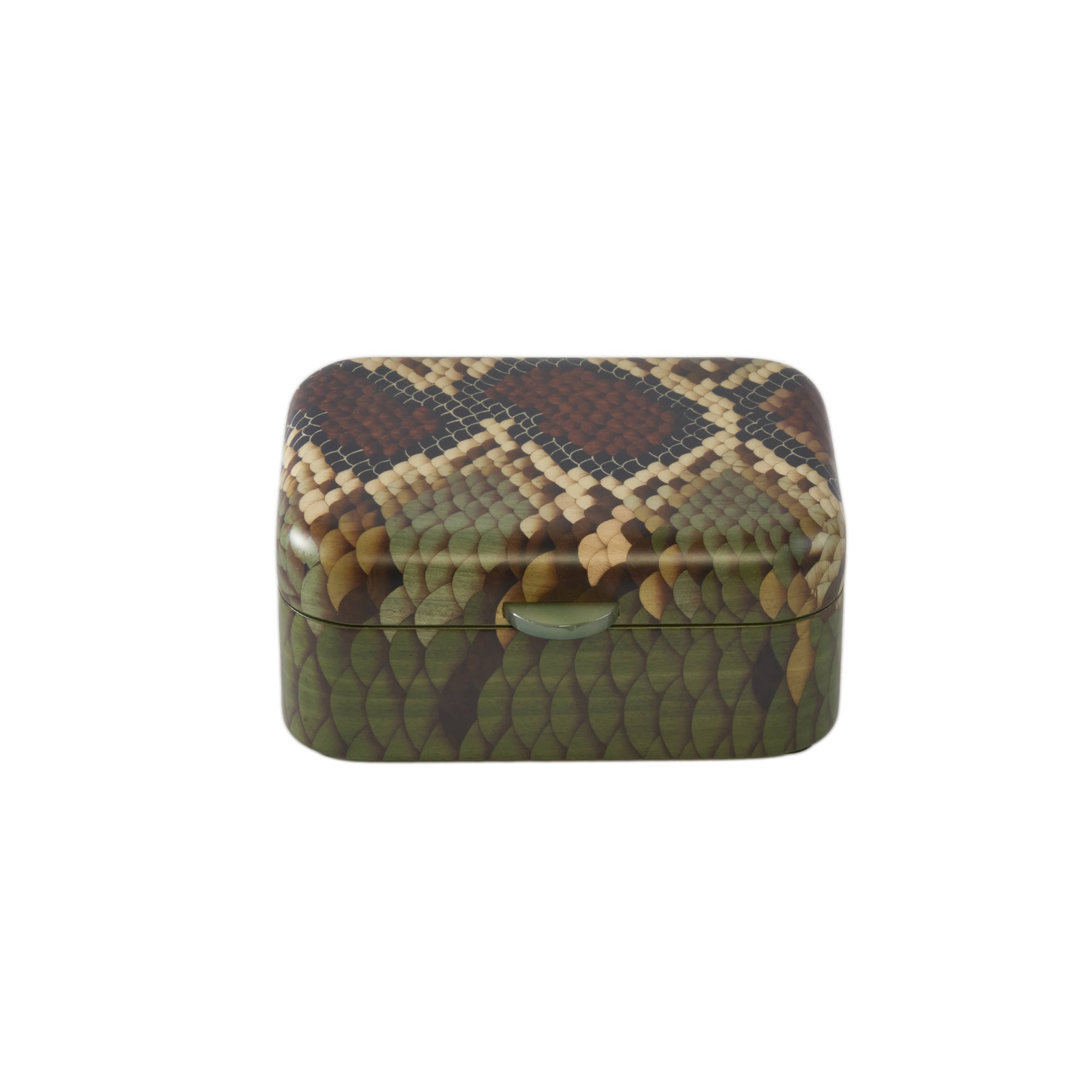 Silvia Furmanovich - Small Rectangular Snake Motif Marquetry Box