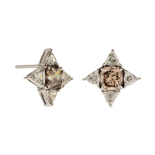 Brown and Diamond Star Stud Earrings - Main Img