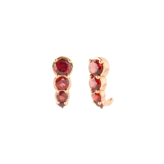 Garnet Hook Earrings - Main Img