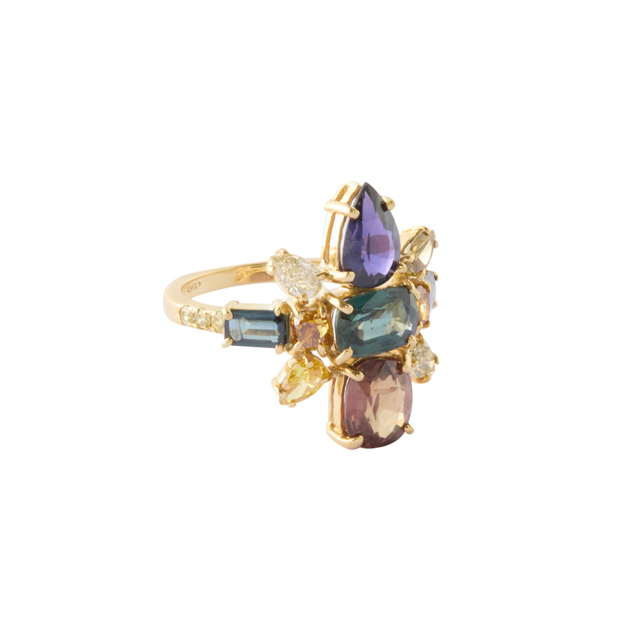 Galaxy Ring - Multi Color Sapphire and Natural Color Diamond