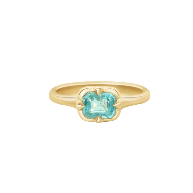 Paraiba Tourmaline Compass Ring