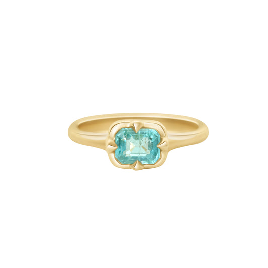 Paraiba Tourmaline Compass Ring - Main Img