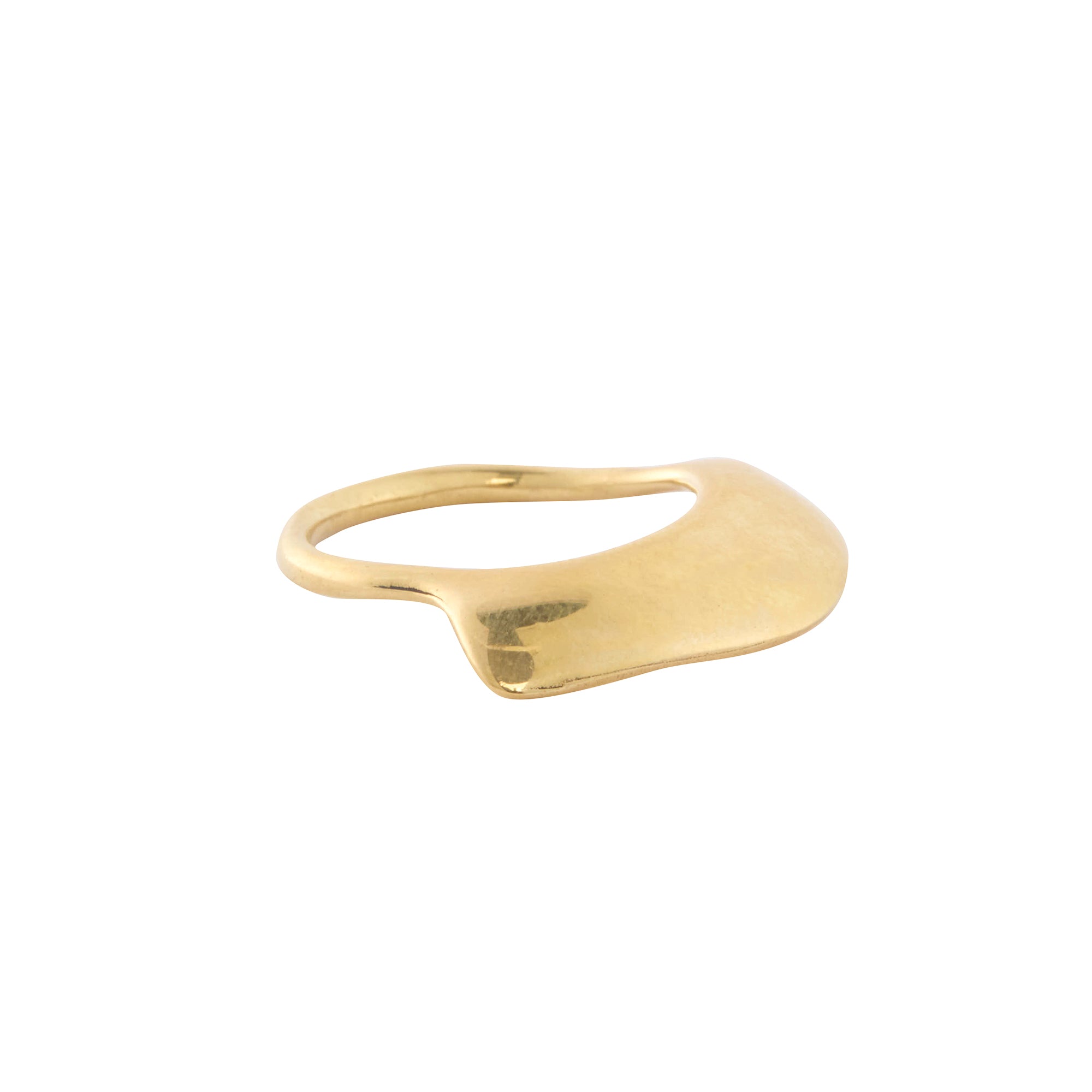 Ariana Boussard Reifel - Bronze Raissa Ring