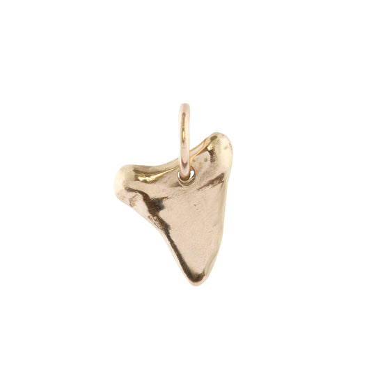 Shark Tooth Pendant - Main Img