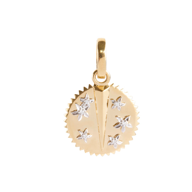 Diamond Resilience Baby Medallion Pendant