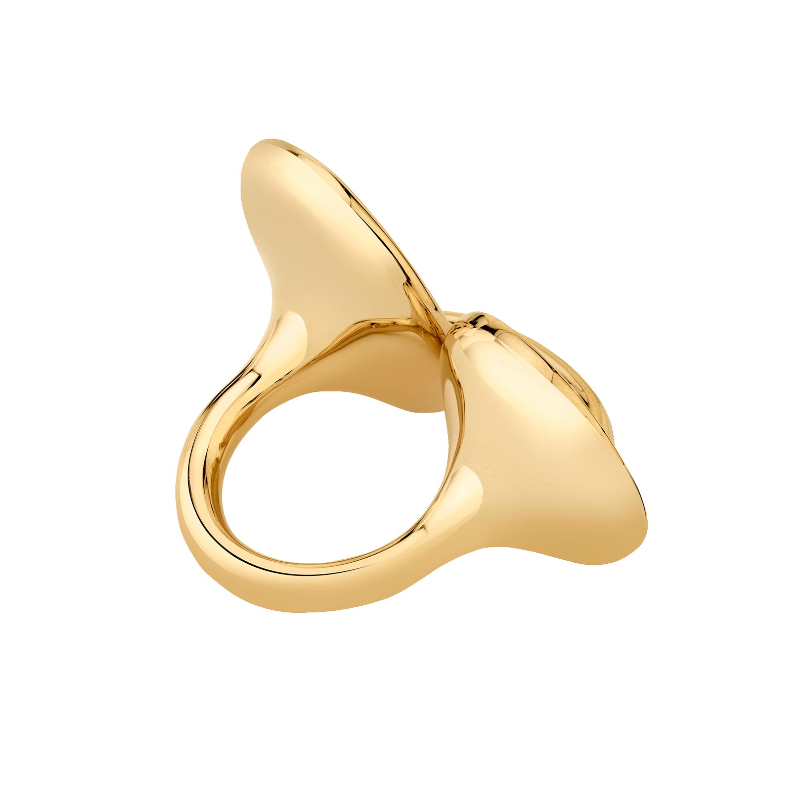 VRAM Sinc Ring top angled view