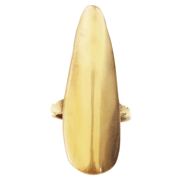 Ariana Boussard-Reifel Gobi Ring - Brass front view