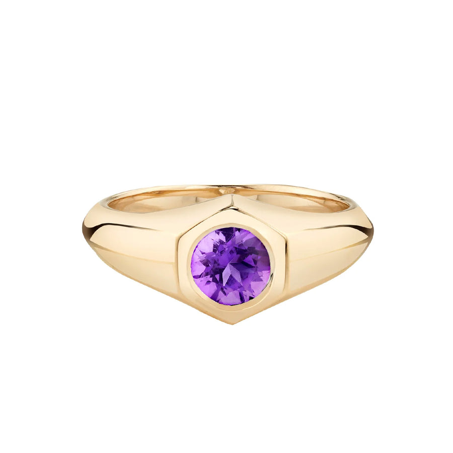 Lizzie Mandler Birthstone Signet Ring - February Amethyst - Rings - Broken English Jewelry front view