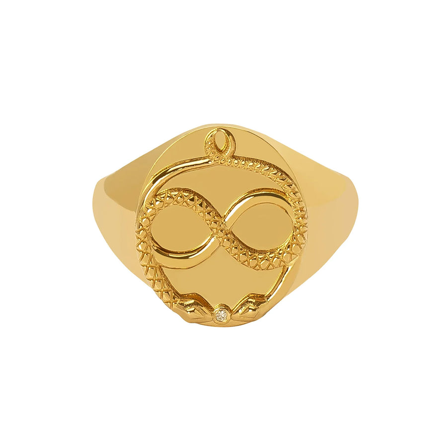 Foundrae Classic Zodiac Signet Ring - Gemini - Rings - Broken English Jewelry front view