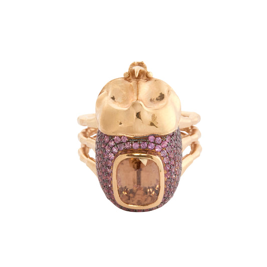 Zircon and Burgundy Sapphire Aušrinė Backyard Ring - Main Img