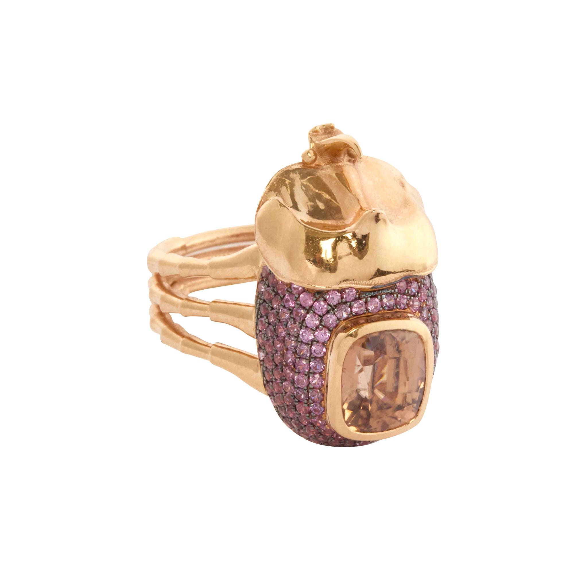 Daniela Villegas - Zircon and Burgundy Sapphire Aušrinė Backyard Ring
