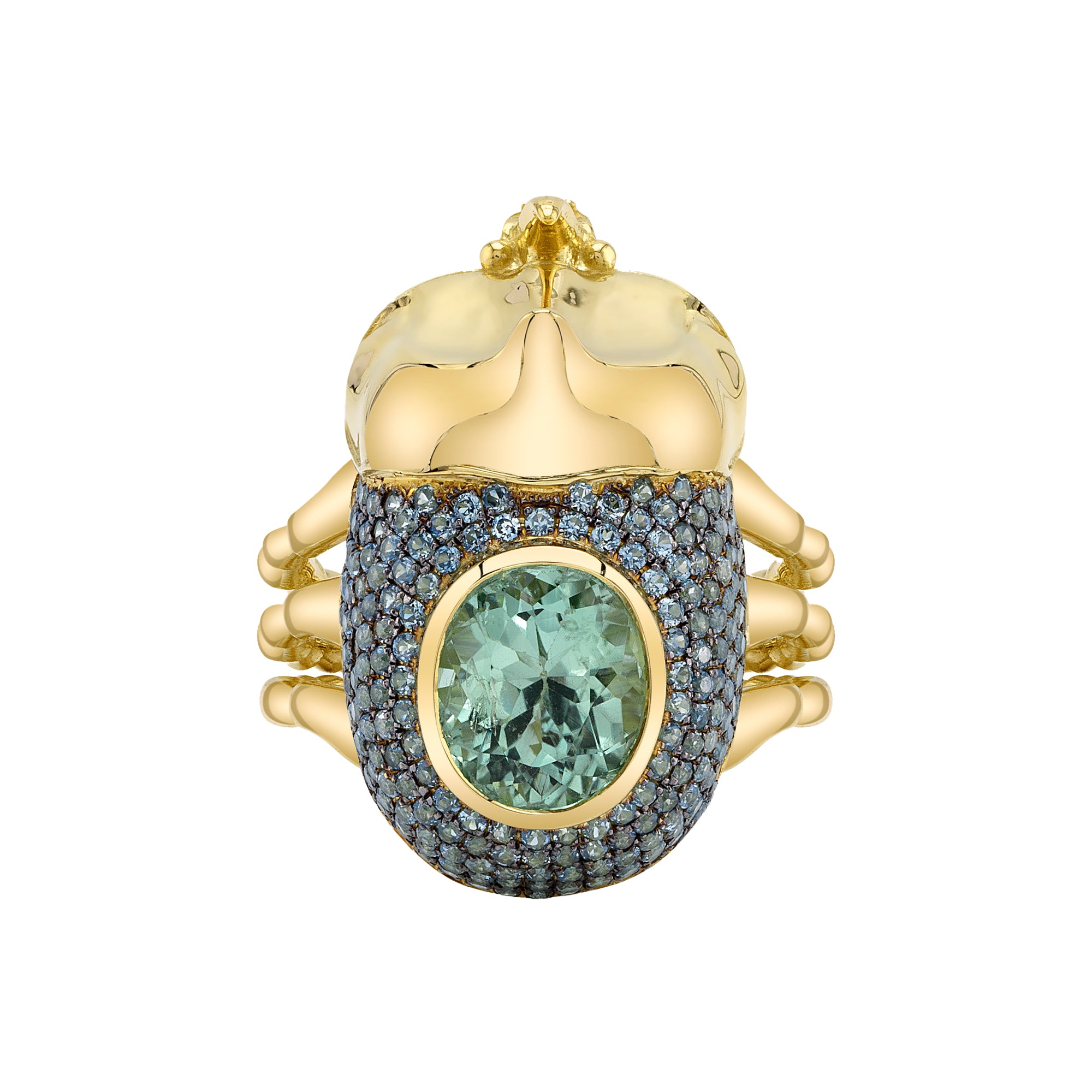 Blue Sapphire and Tourmaline Kiwa Backyard Ring