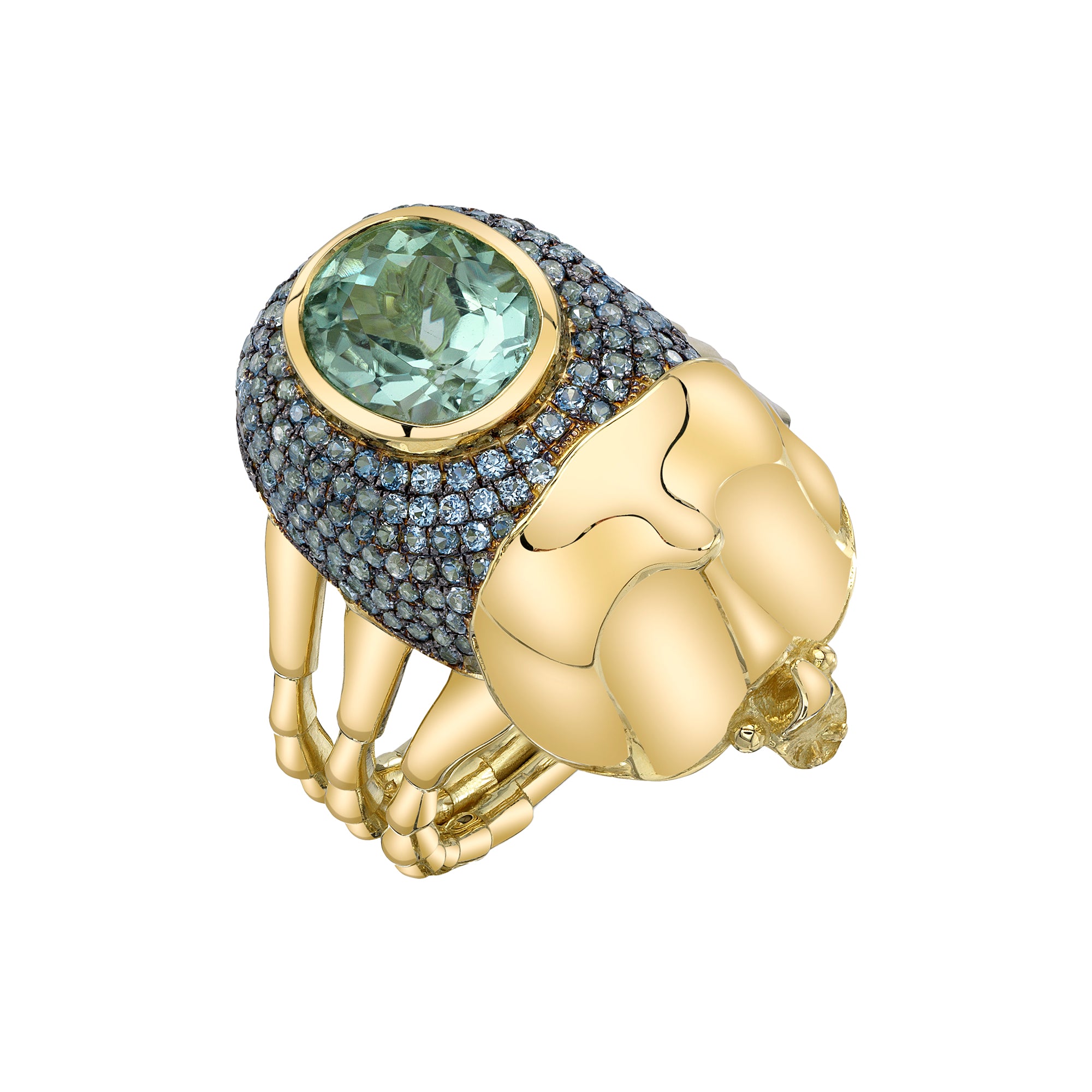 Blue Sapphire and Tourmaline Kiwa Backyard Ring