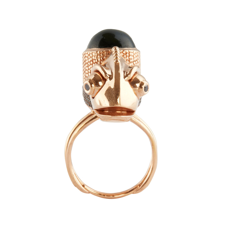Daniela Villegas Isaac Newton Tourmaline and Sapphire Ring - Rings - Broken English Jewelry, front view