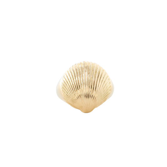 Shell Pinky Ring - Main Img