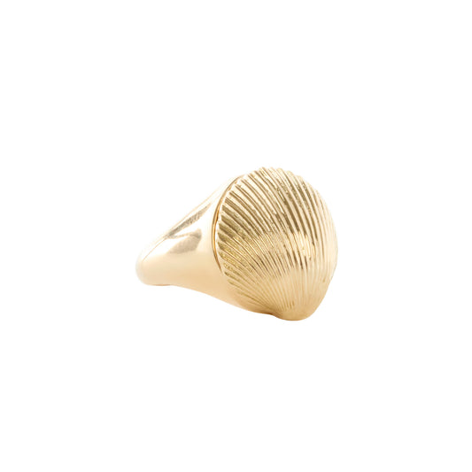 Shell Pinky Ring