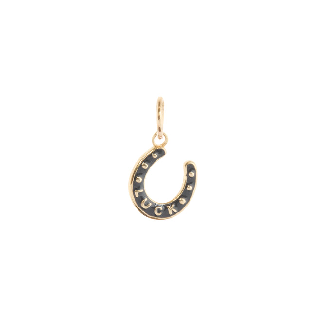 Onyx Horseshoe Luck Charm