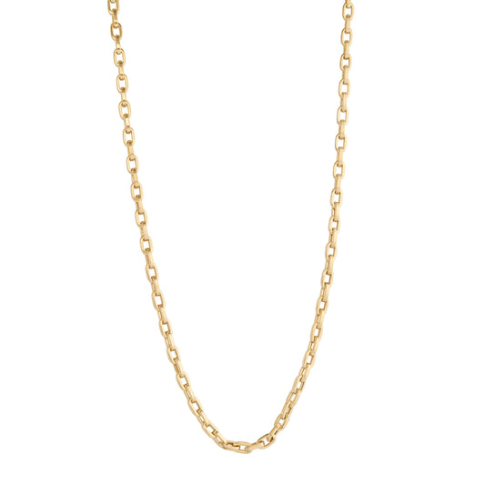 Long Oval Link Chain Necklace - Main Img