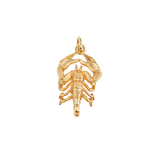 Scorpio Sculpture Pendant - Main Img